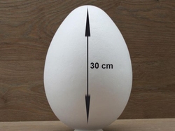 Egg 30 cm 2-piece